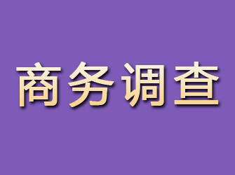 青龙商务调查